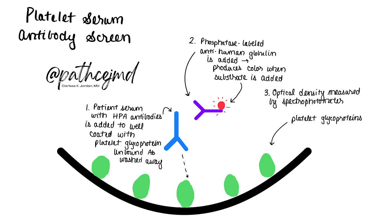 Case 5: Platelet Refractoriness