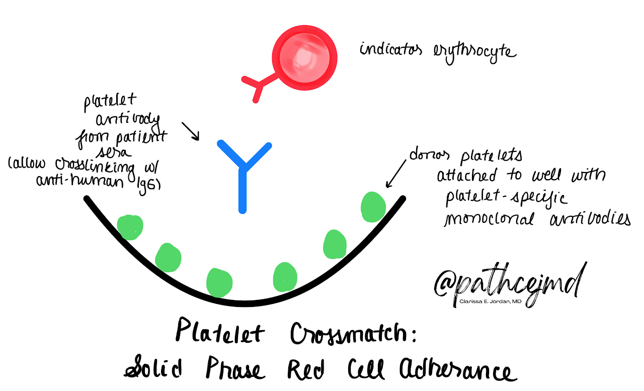 Case 5: Platelet Refractoriness