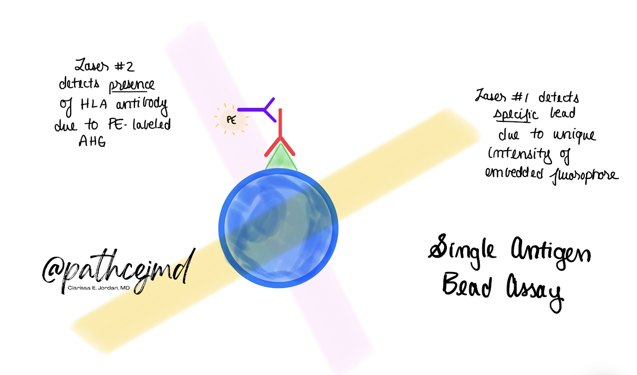 Case 5: Platelet Refractoriness