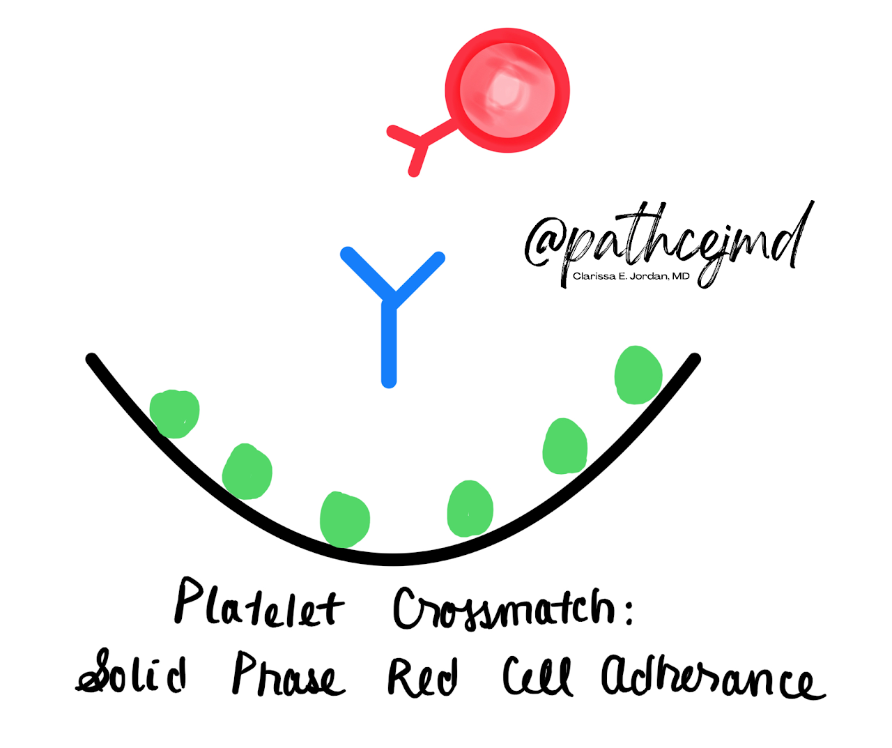Case 5: Platelet Refractoriness