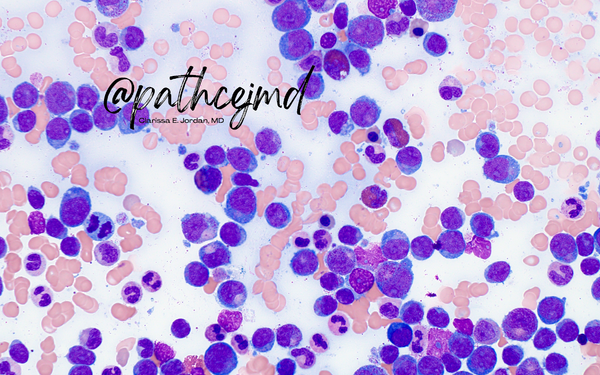 Case 10: AML Subtypes Compare and Contrast